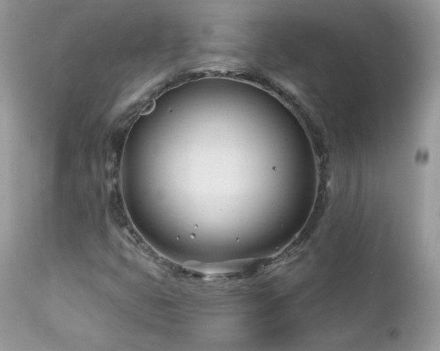 X0000112461399200908171151