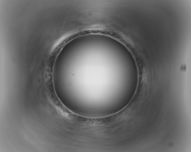 X0000112461400200908171151
