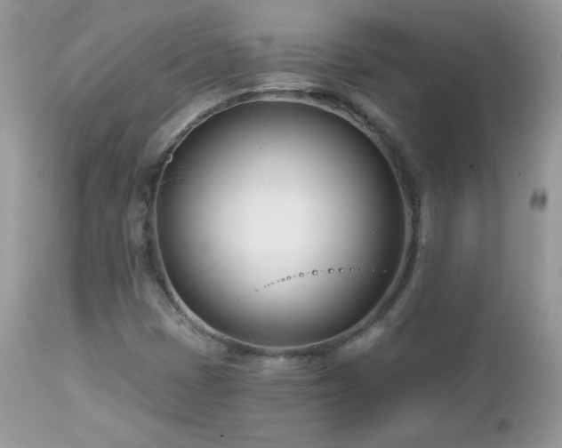 X0000112461401200908171151