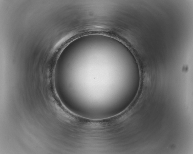X0000112461402200908171151