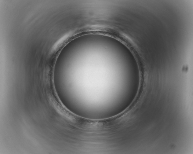 X0000112461403200908171151