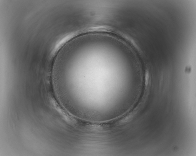 X0000112461405200908171151