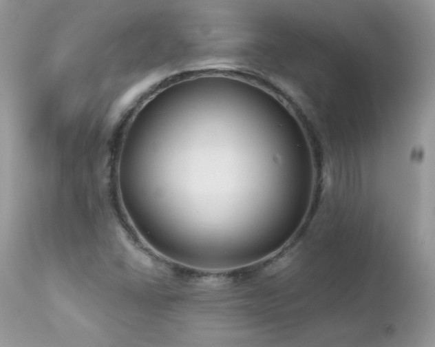 X0000112461406200908171151