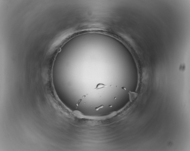 X0000112461407200908171151