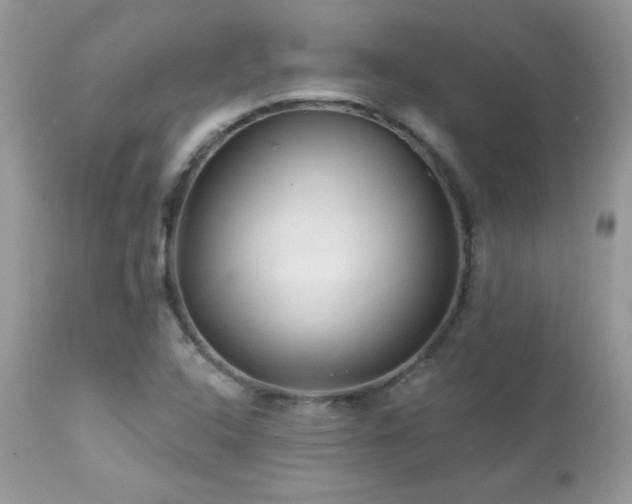 X0000112461408200908171151