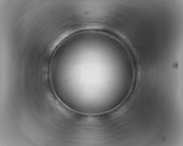 X0000112461409200908171151