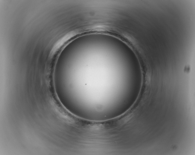 X0000112461410200908171151