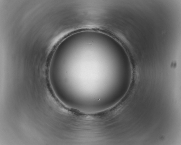 X0000112461412200908171151
