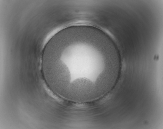 X0000112461413200908171151