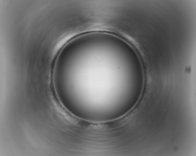 X0000112461415200908171151