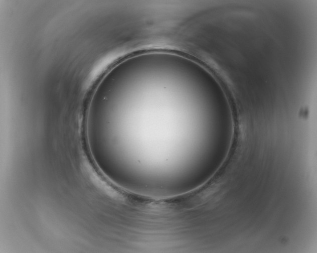 X0000112461416200908171151