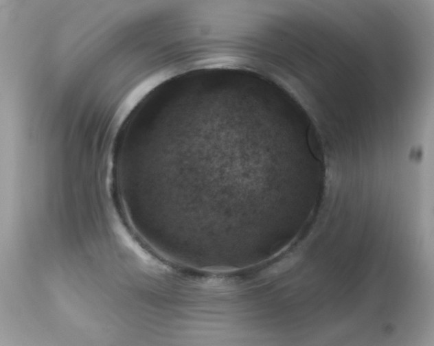 X0000112461418200908171151