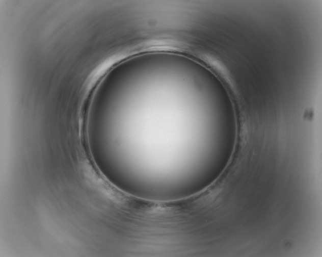 X0000112461419200908171152