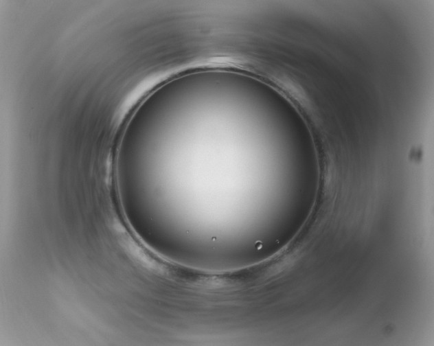 X0000112461420200908171152