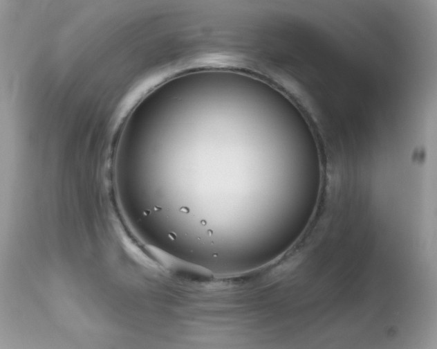 X0000112461421200908171152