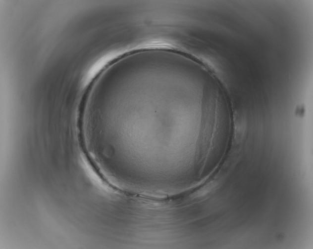 X0000112461422200908171152