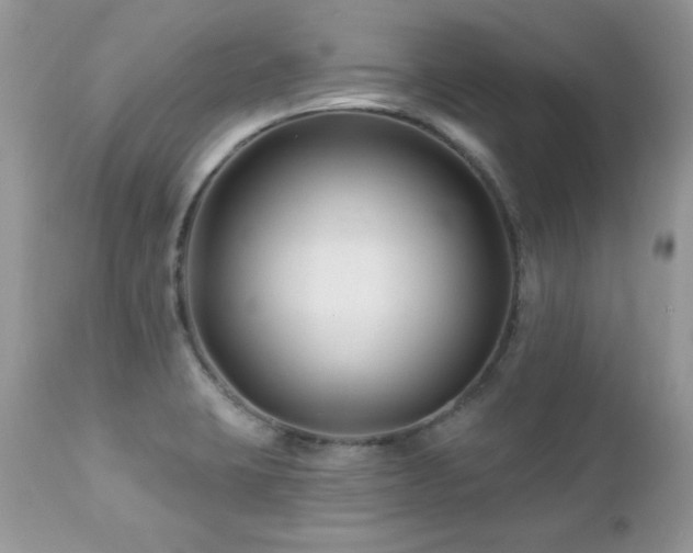 X0000112461423200908171152