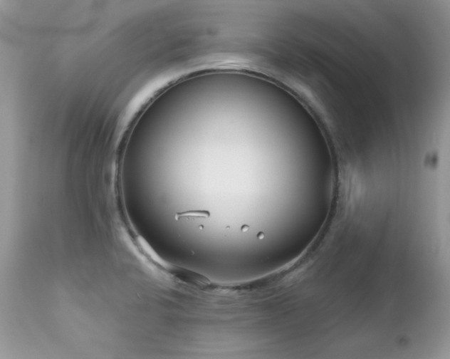 X0000112461424200908171152