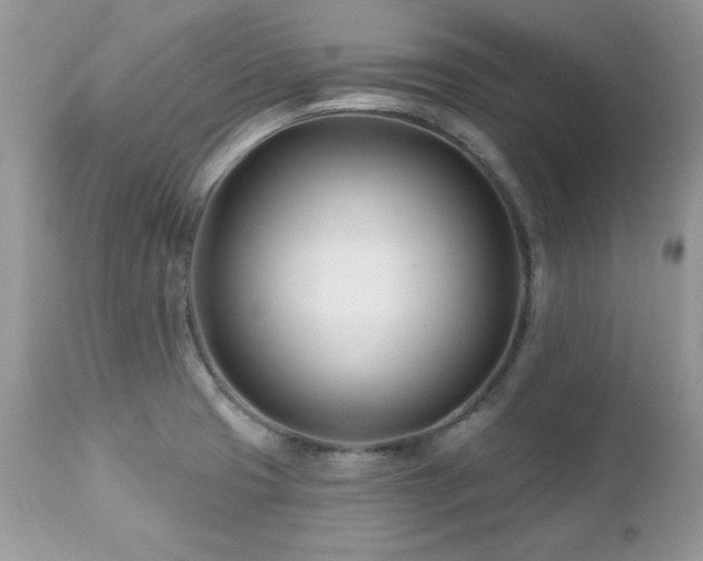 X0000112461425200908171152