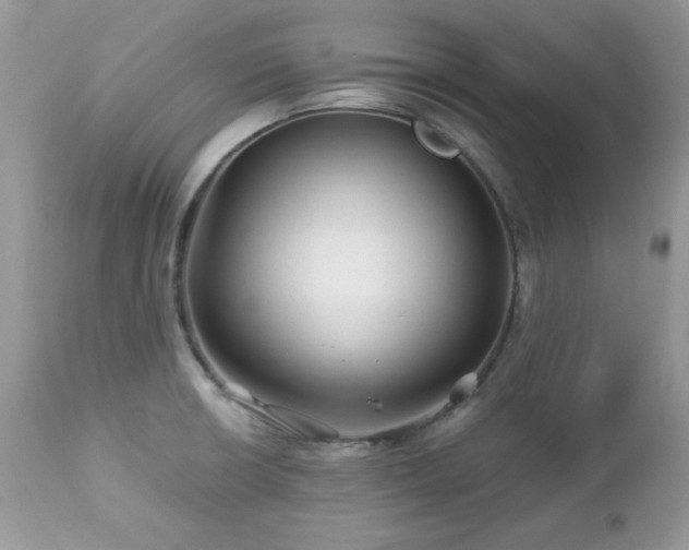 X0000112461426200908171152