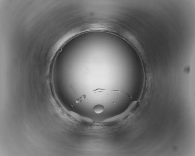 X0000112461427200908171152