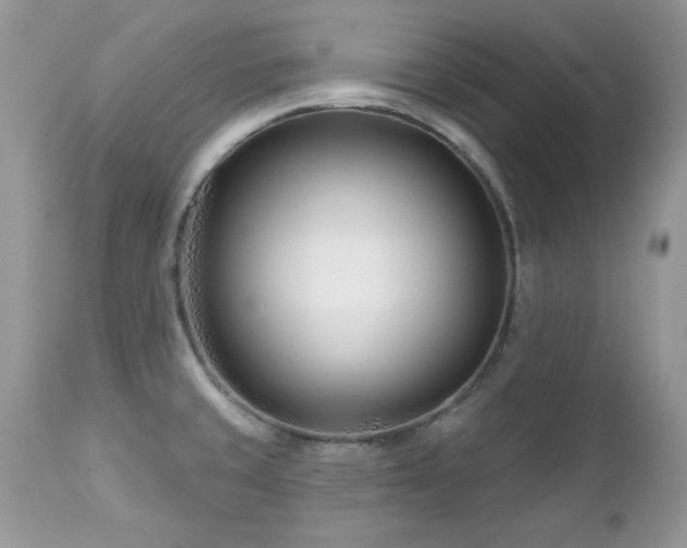 X0000112461429200908171152