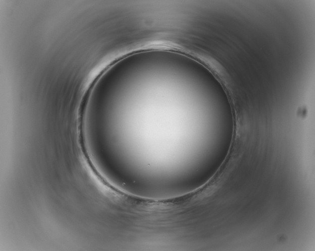 X0000112461430200908171152