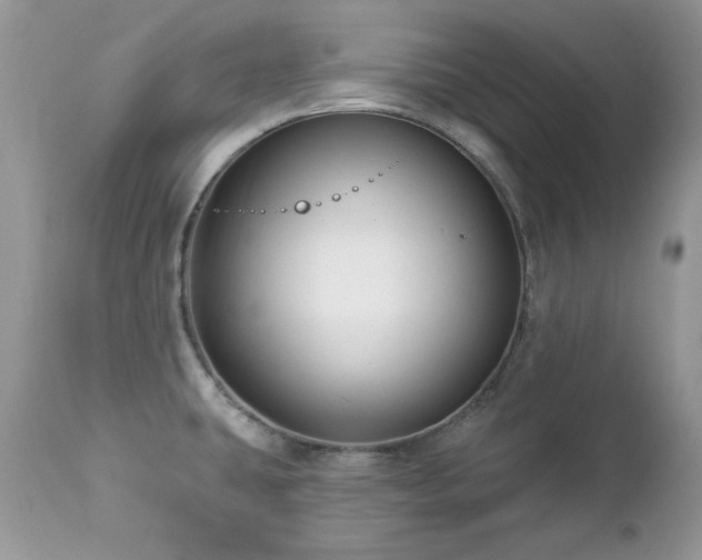 X0000112461431200908171152