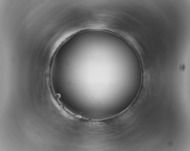 X0000112461432200908171152