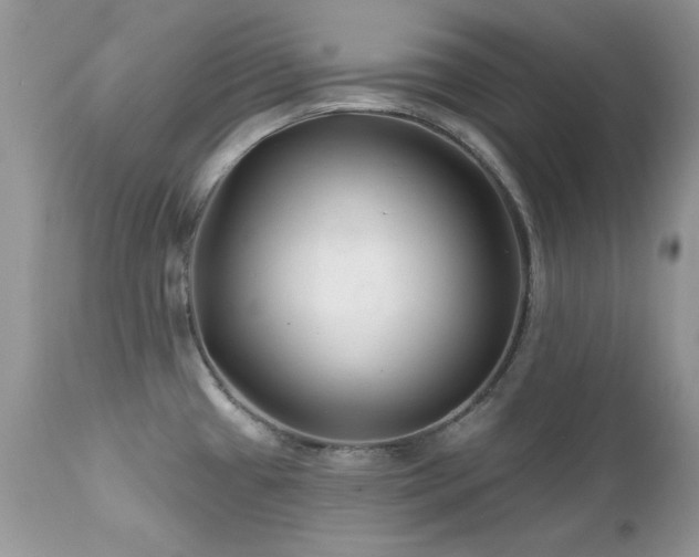 X0000112461433200908171152