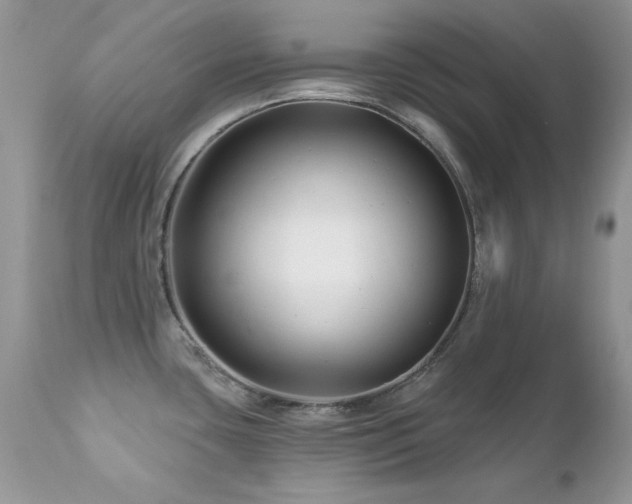 X0000112461435200908171152