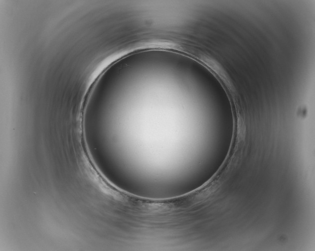 X0000112461436200908171152