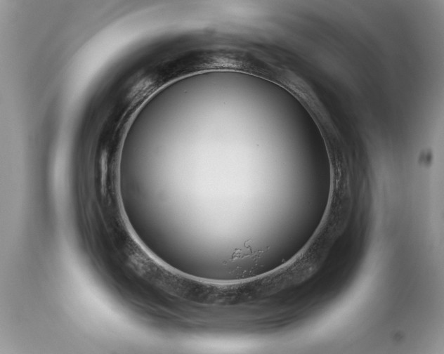 X0000112461439200908171152