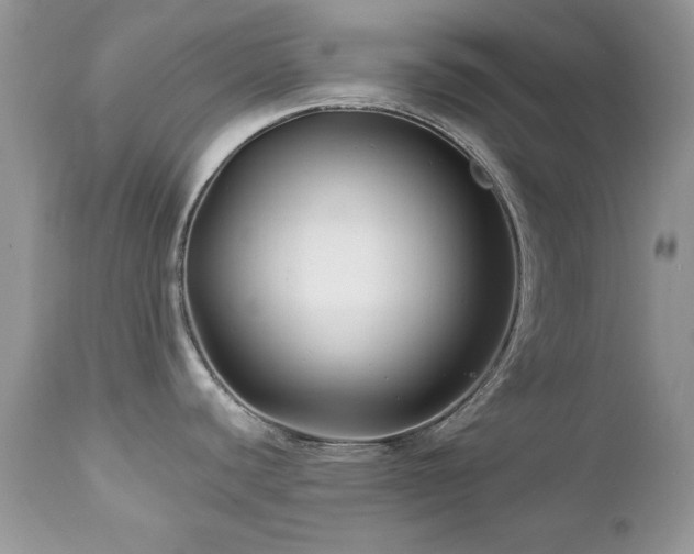 X0000112461440200908171152