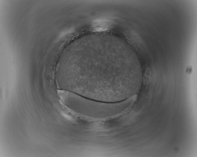 X0000112461441200908171151