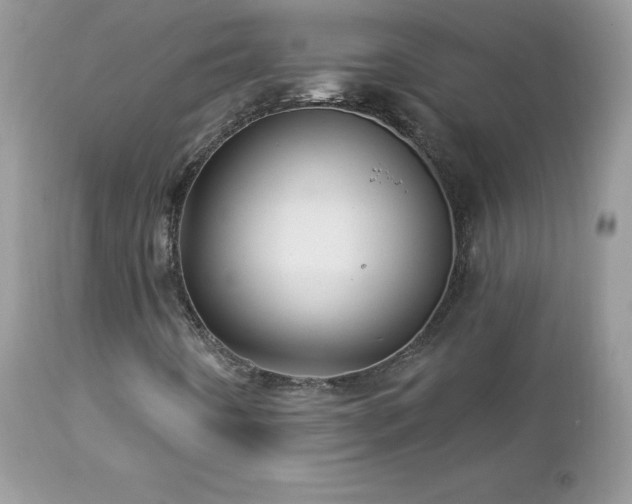 X0000112461442200908171151