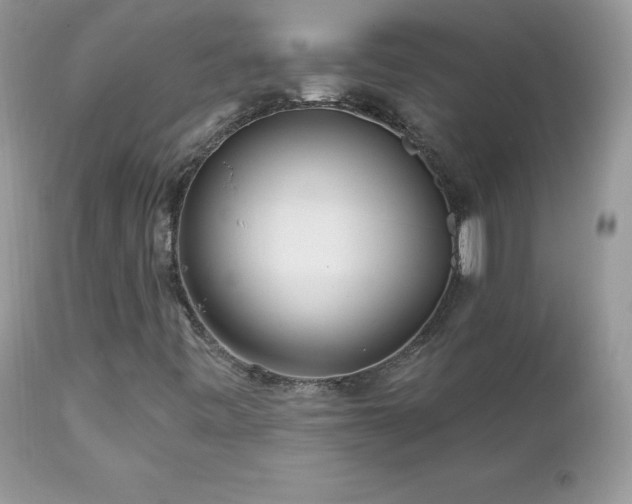 X0000112461443200908171151