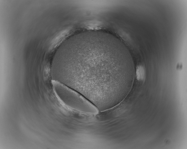 X0000112461444200908171151