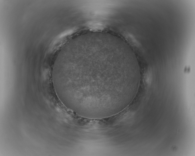 X0000112461445200908171151