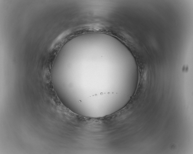 X0000112461446200908171151