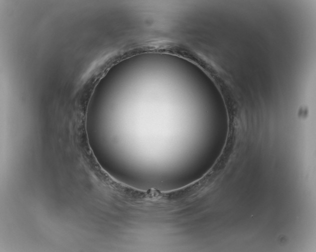 X0000112461447200908171151