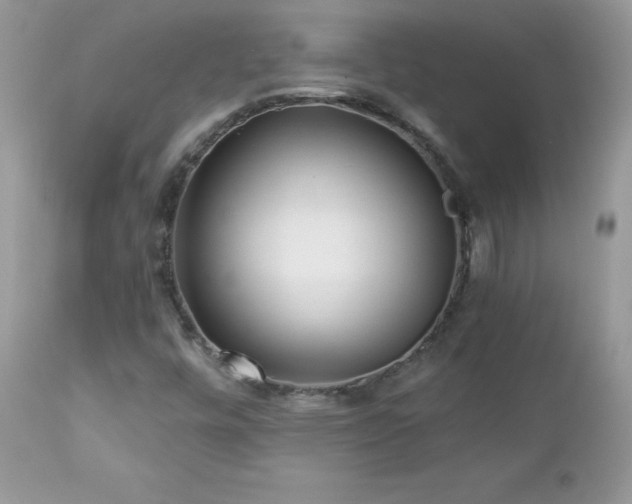X0000112461448200908171151