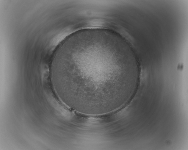 X0000112461449200908171151