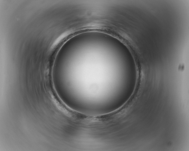 X0000112461450200908171151