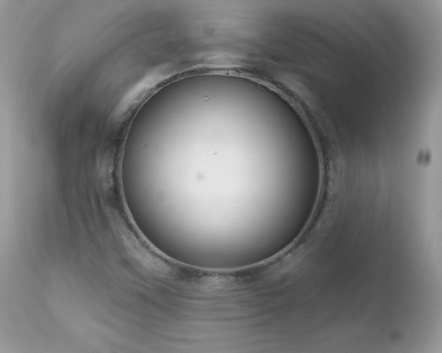 X0000112461451200908171151