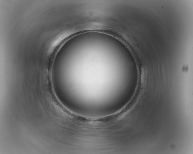 X0000112461453200908171151