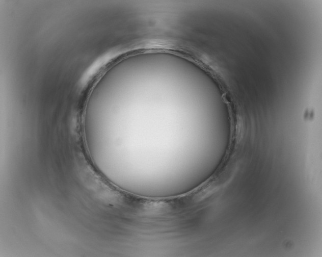 X0000112461454200908171151