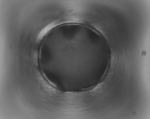 X0000112461455200908171151