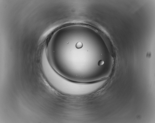 X0000112461456200908171151