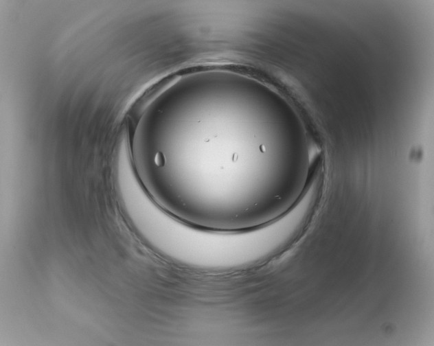 X0000112461457200908171151